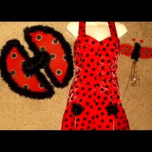 Cute satin Ladybug dress with wings & wand.